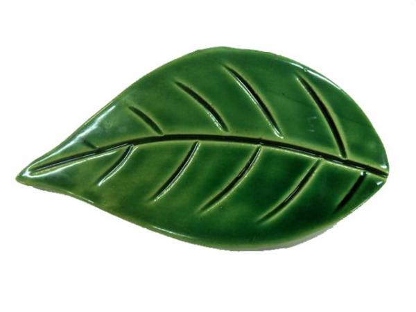 flat-leaf-725m